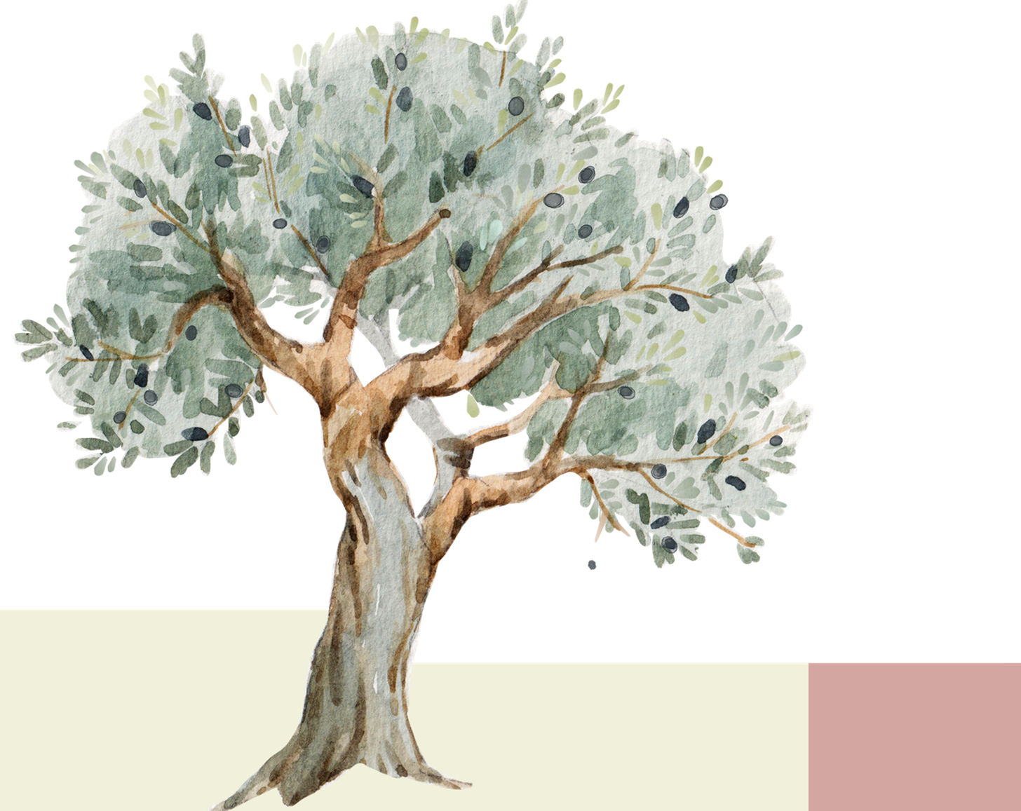 Image El-‘Ouneh